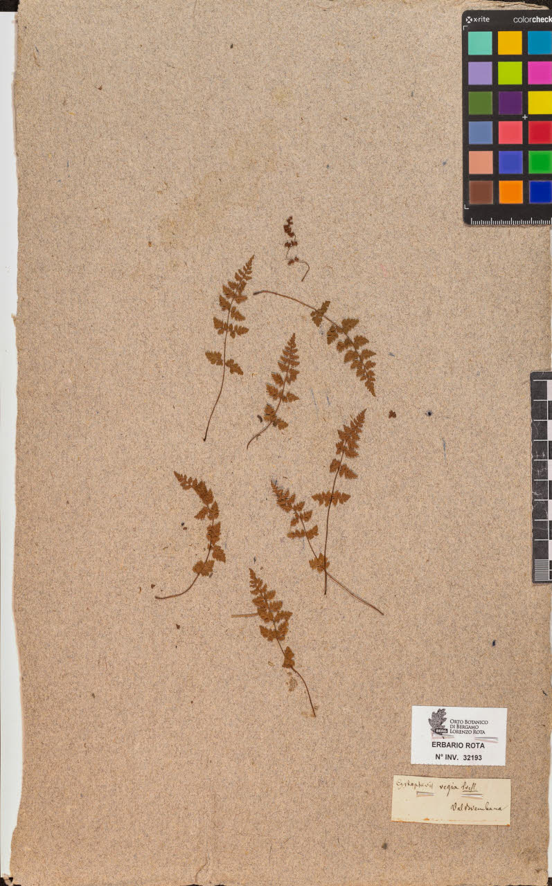 SW_BNB_s3090-10234_IMG-0000000001