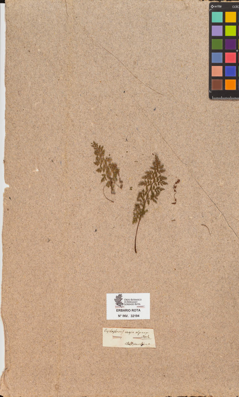 SW_BNB_s3090-10235_IMG-0000000001