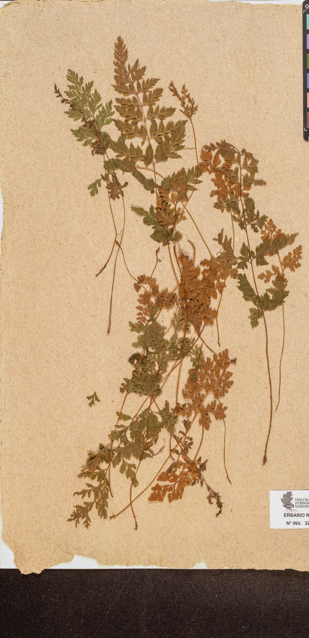 SW_BNB_s3090-10236_IMG-0000000001