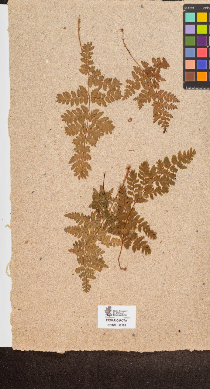 SW_BNB_s3090-10237_IMG-0000000001