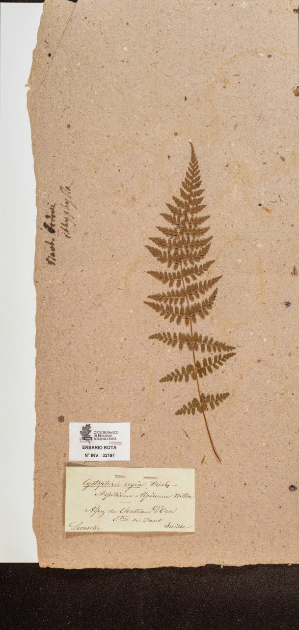 SW_BNB_s3090-10238_IMG-0000000001