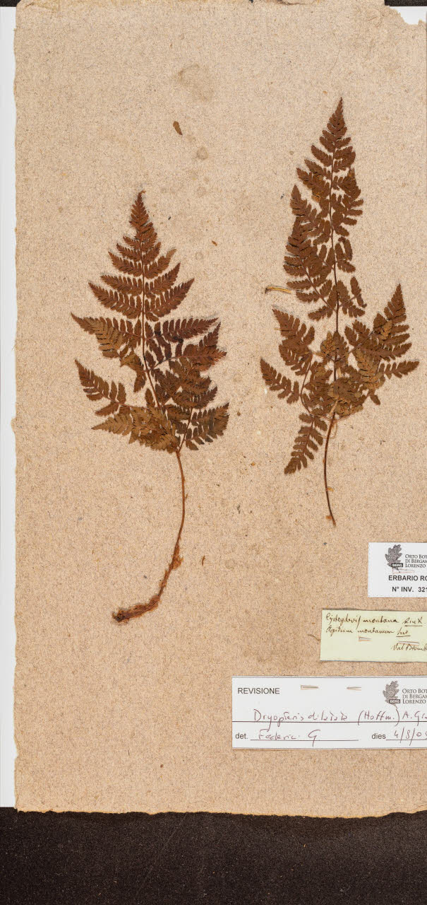 SW_BNB_s3090-10239_IMG-0000000001