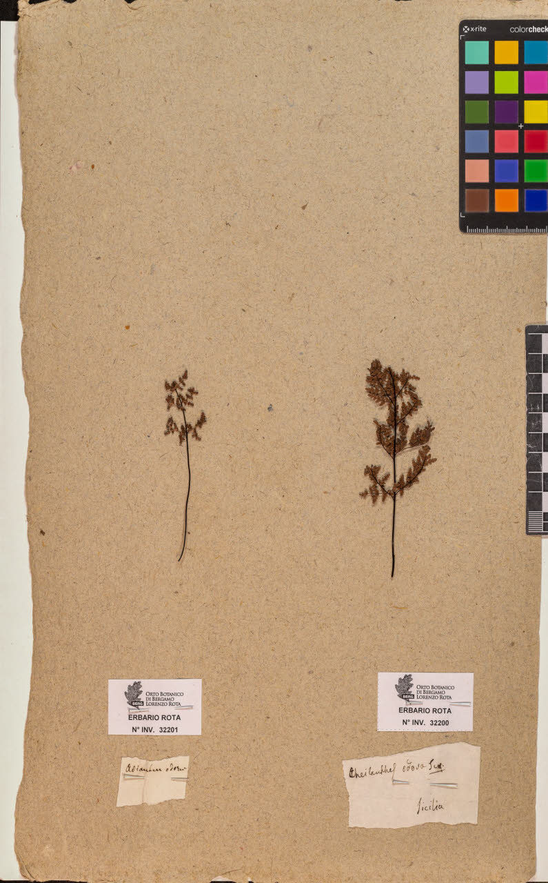 SW_BNB_s3090-10242_IMG-0000000001