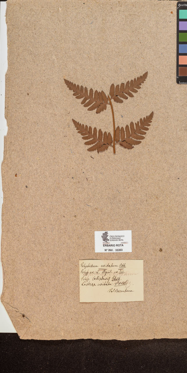 SW_BNB_s3090-10244_IMG-0000000001