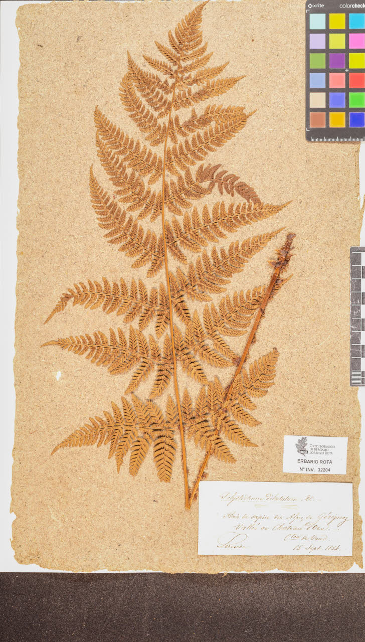 SW_BNB_s3090-10245_IMG-0000000001