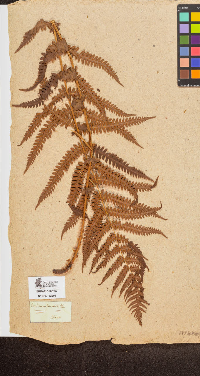 SW_BNB_s3090-10247_IMG-0000000001