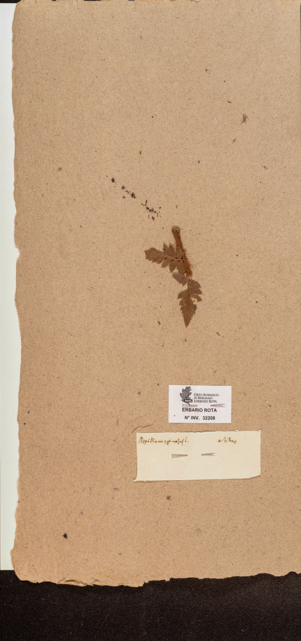 SW_BNB_s3090-10249_IMG-0000000001