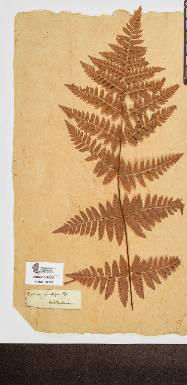 SW_BNB_s3090-10250_IMG-0000000001