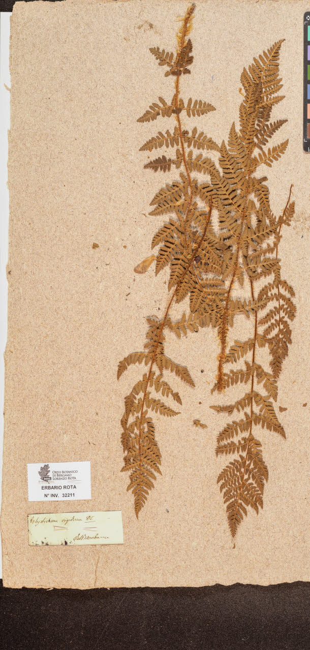 SW_BNB_s3090-10252_IMG-0000000001