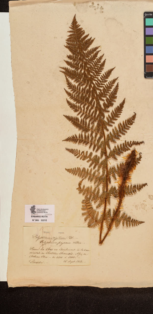 SW_BNB_s3090-10253_IMG-0000000001