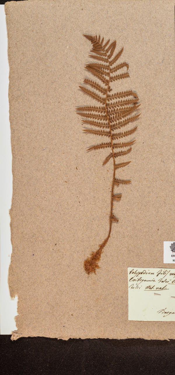 SW_BNB_s3090-10254_IMG-0000000001