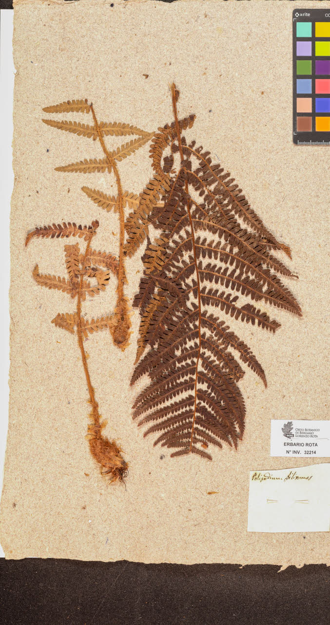 SW_BNB_s3090-10255_IMG-0000000001