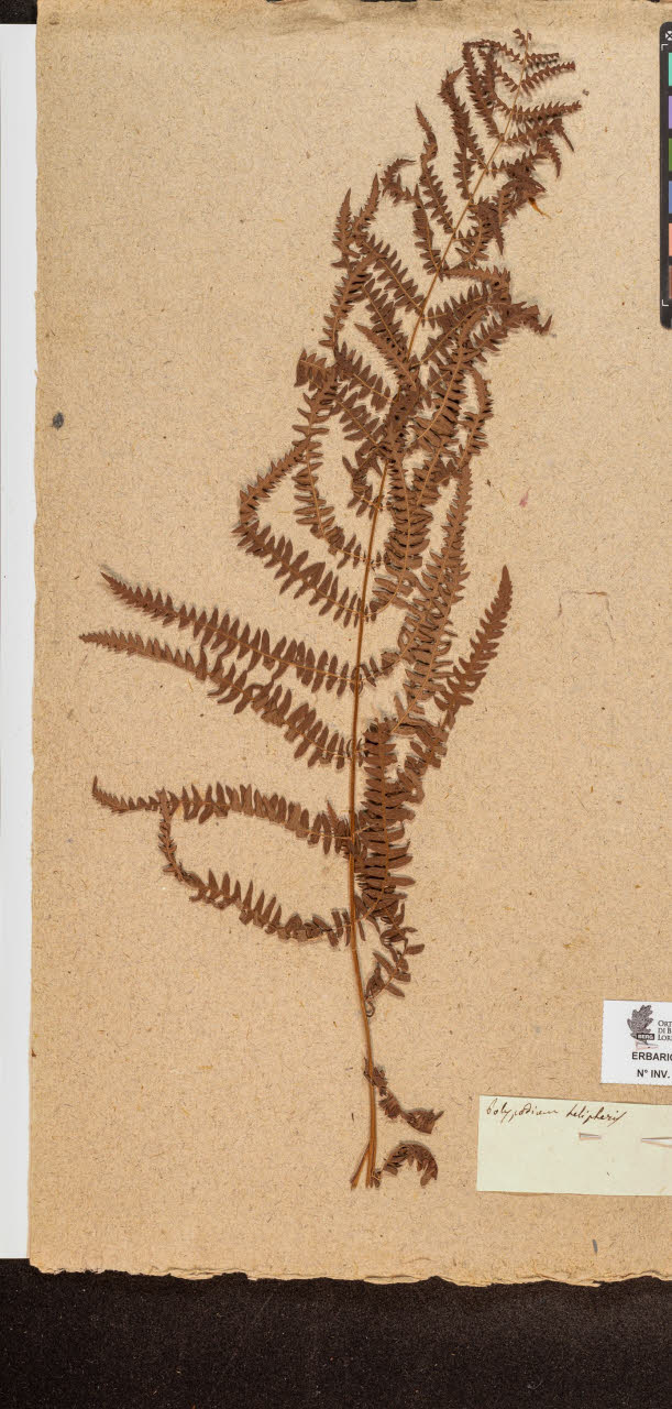 SW_BNB_s3090-10257_IMG-0000000001