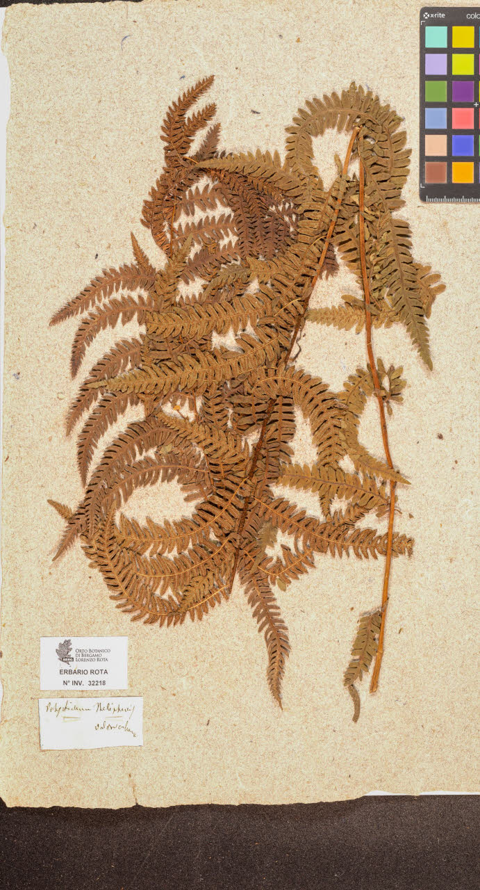 SW_BNB_s3090-10259_IMG-0000000001