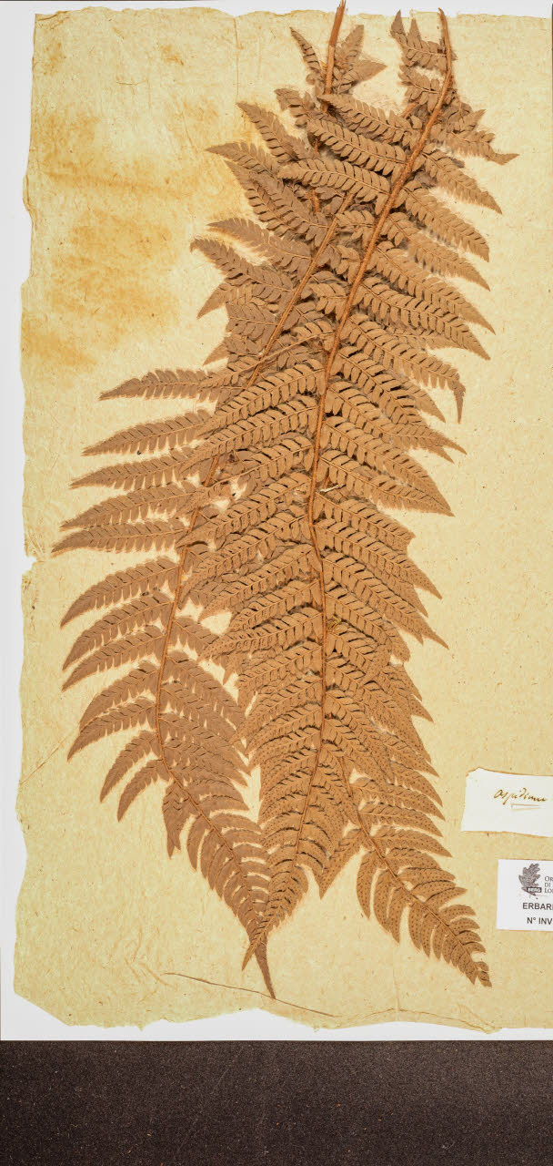 SW_BNB_s3090-10261_IMG-0000000001