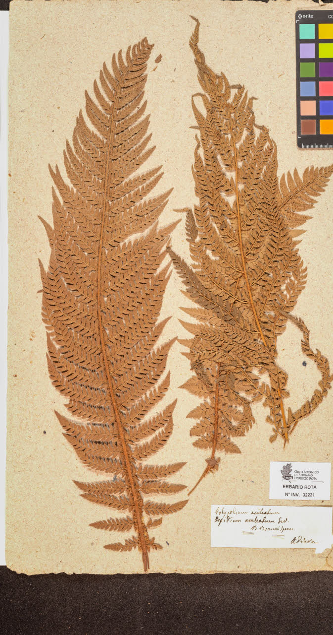 SW_BNB_s3090-10262_IMG-0000000001