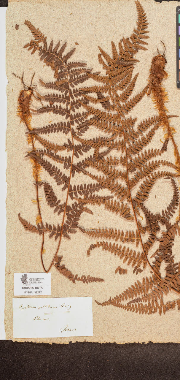 SW_BNB_s3090-10263_IMG-0000000001