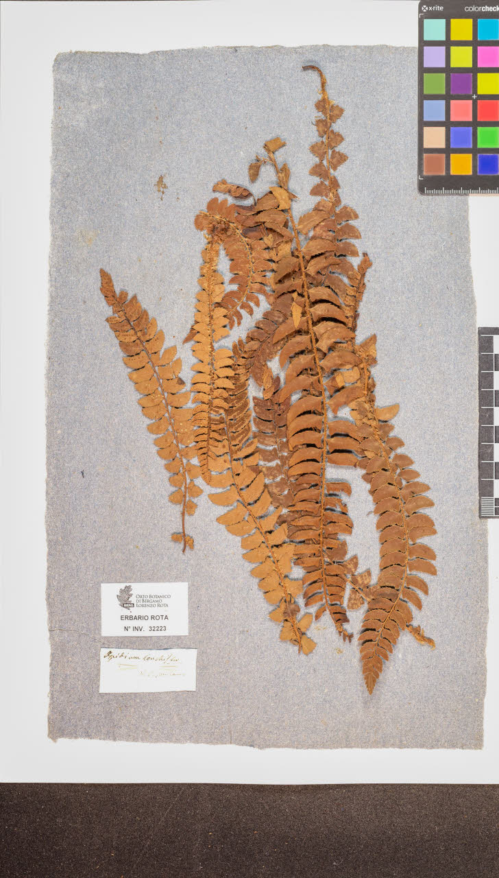 SW_BNB_s3090-10264_IMG-0000000001