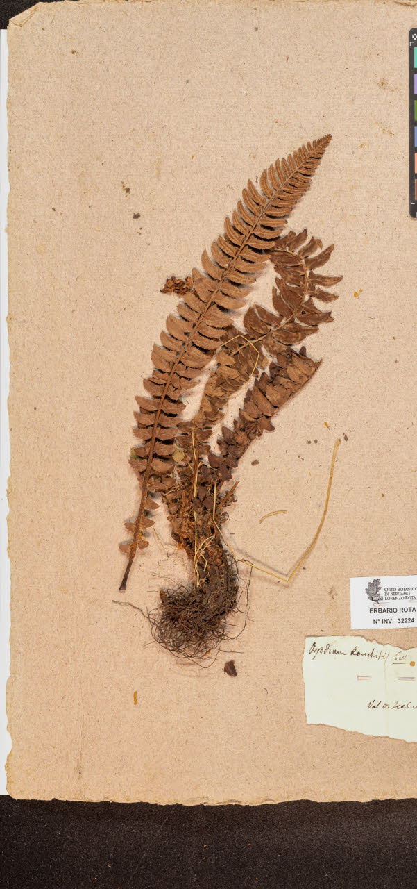 SW_BNB_s3090-10265_IMG-0000000001