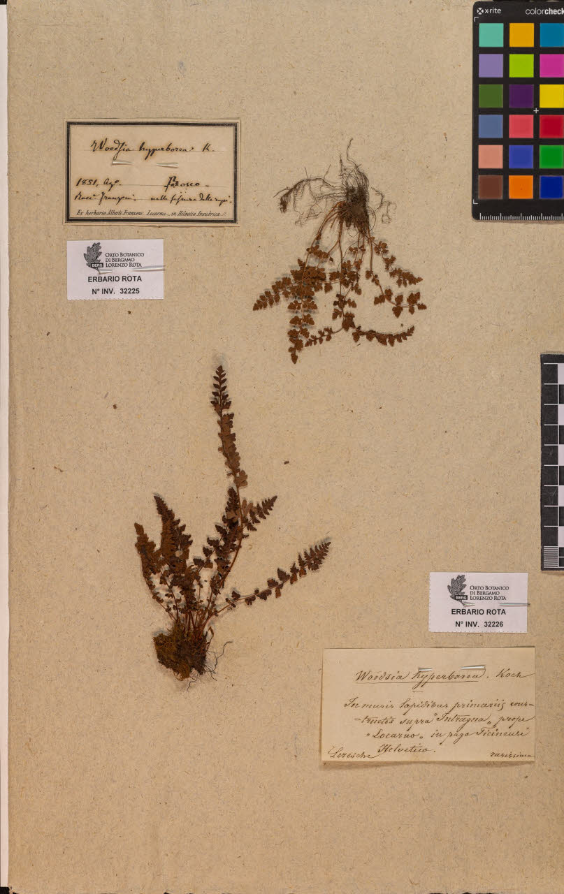 SW_BNB_s3090-10266_IMG-0000000001