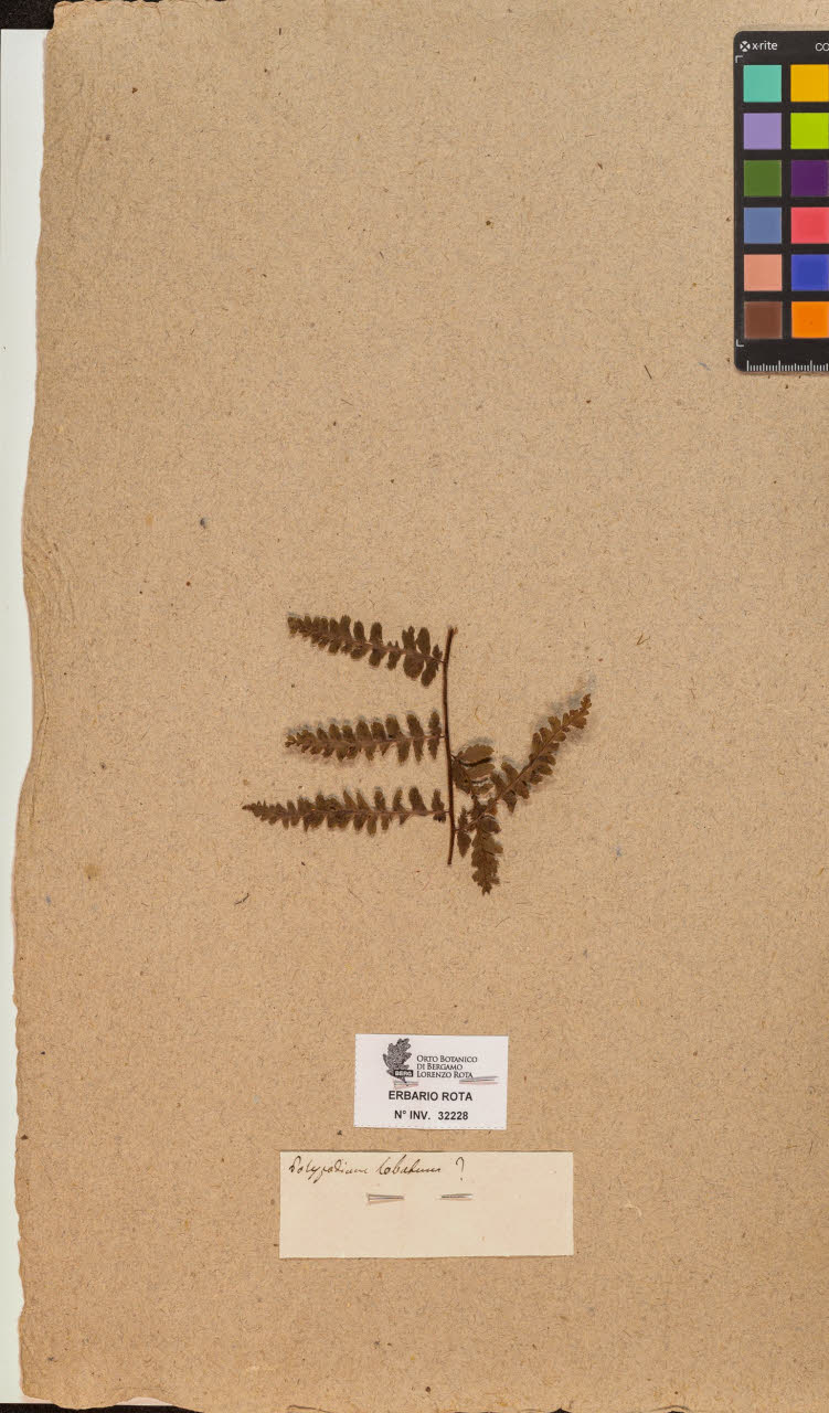 SW_BNB_s3090-10269_IMG-0000000001