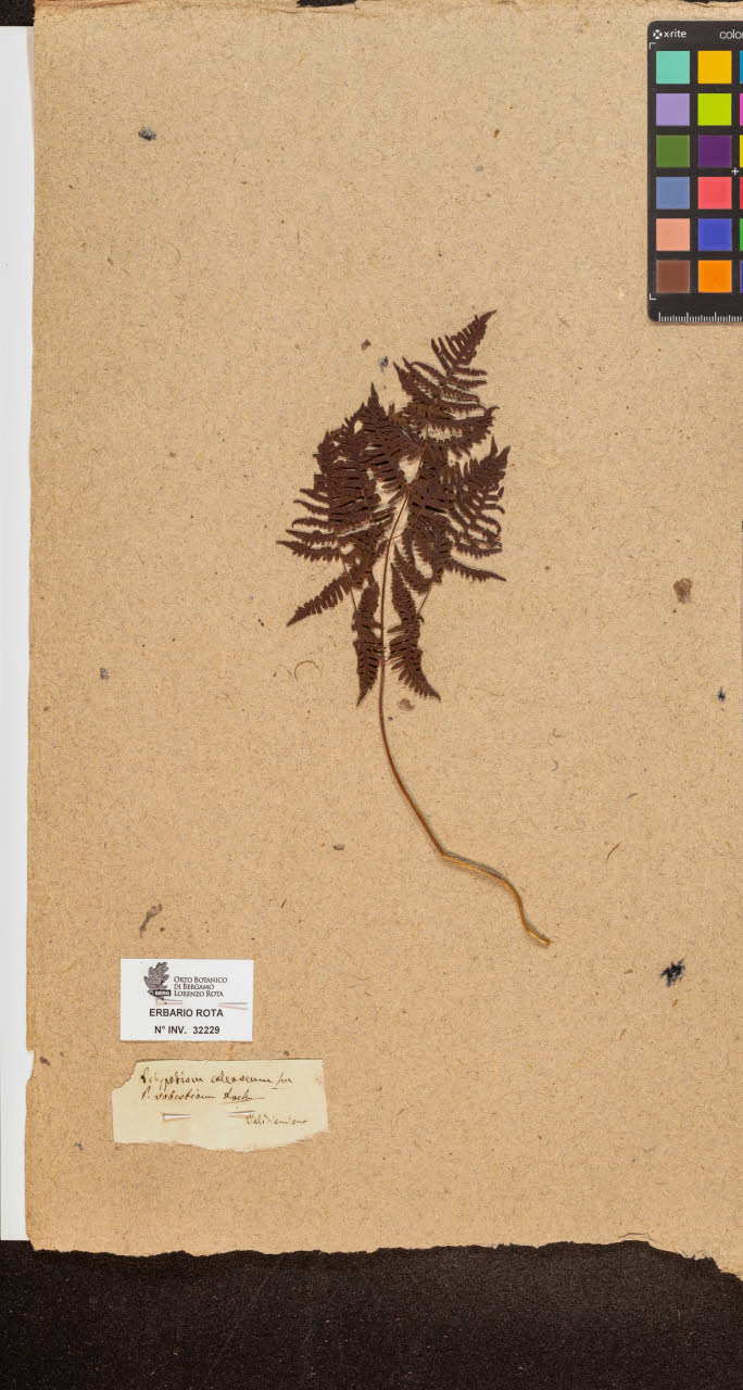 SW_BNB_s3090-10270_IMG-0000000001