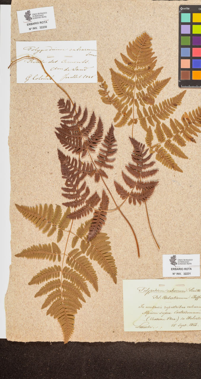 SW_BNB_s3090-10271_IMG-0000000001