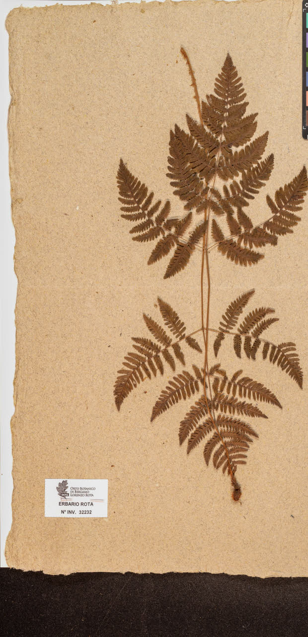 SW_BNB_s3090-10273_IMG-0000000001