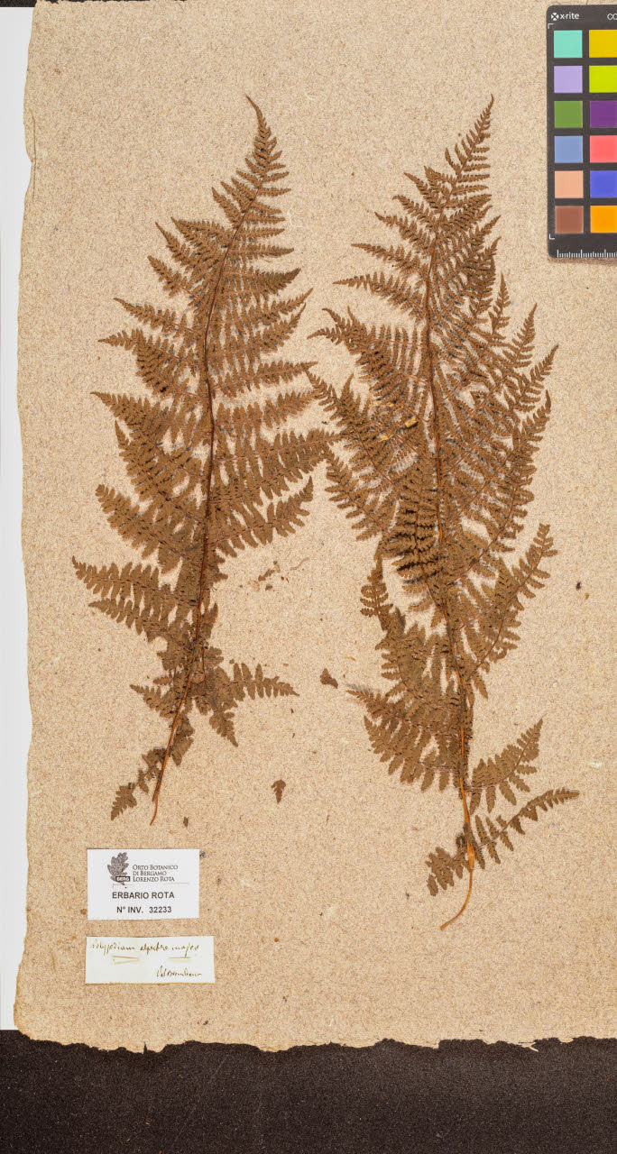 SW_BNB_s3090-10274_IMG-0000000001