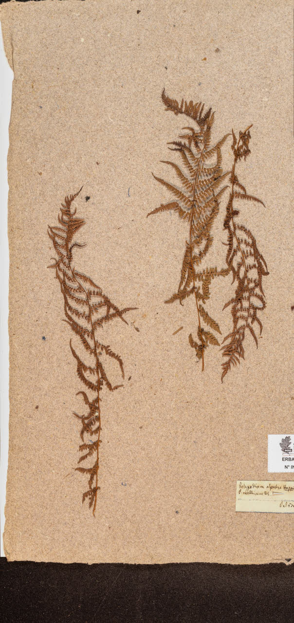 SW_BNB_s3090-10275_IMG-0000000001