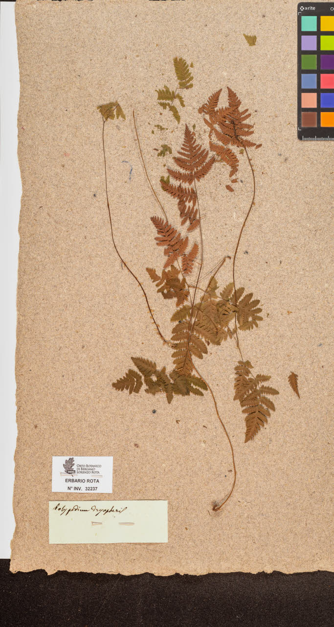 SW_BNB_s3090-10278_IMG-0000000001