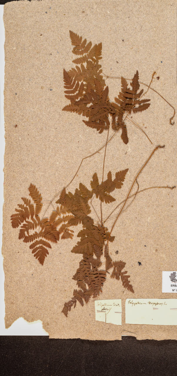 SW_BNB_s3090-10279_IMG-0000000001