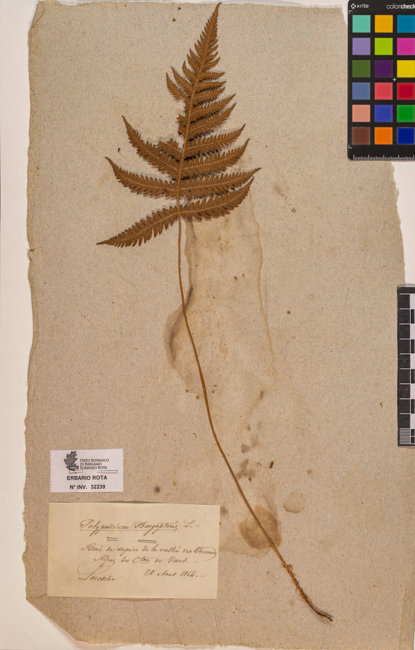 SW_BNB_s3090-10280_IMG-0000000001