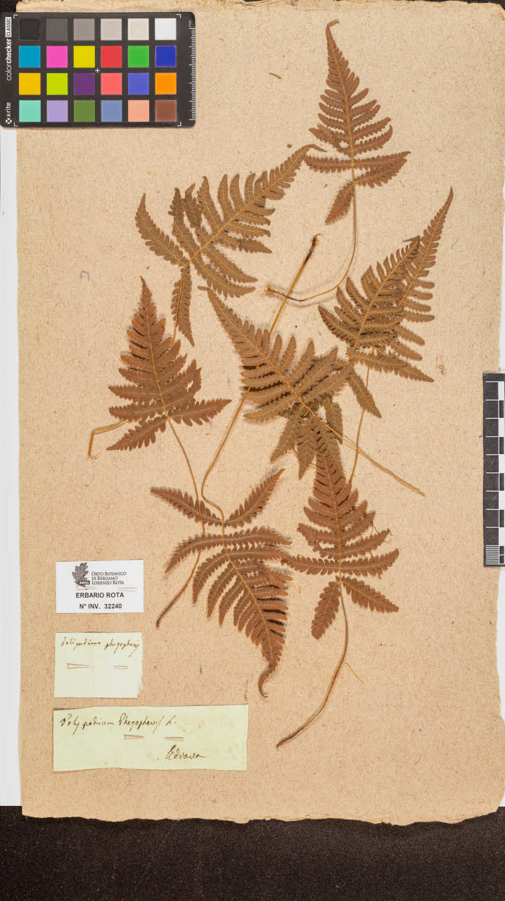 SW_BNB_s3090-10281_IMG-0000000001