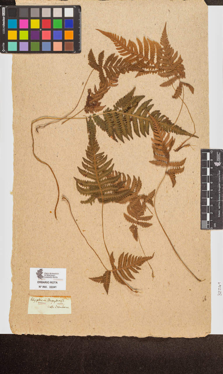 SW_BNB_s3090-10282_IMG-0000000001