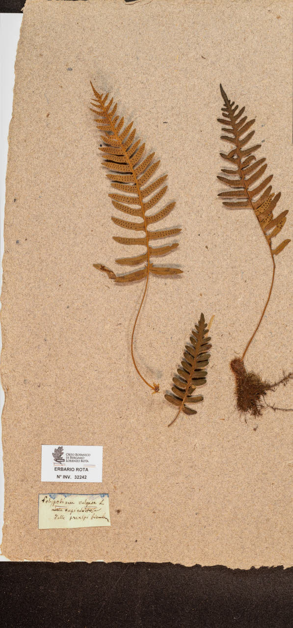 SW_BNB_s3090-10283_IMG-0000000001