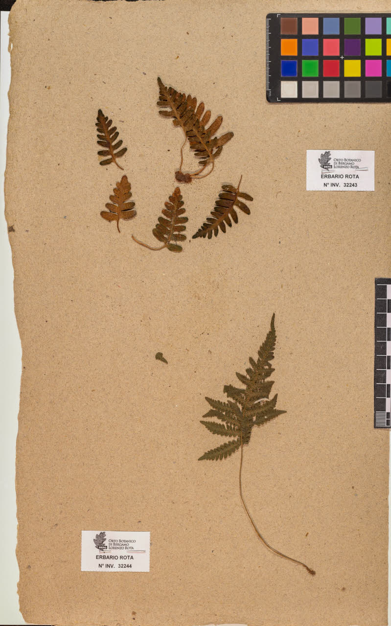 SW_BNB_s3090-10285_IMG-0000000001