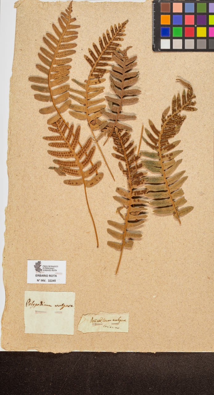 SW_BNB_s3090-10286_IMG-0000000001