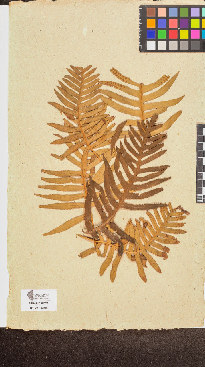 SW_BNB_s3090-10287_IMG-0000000001