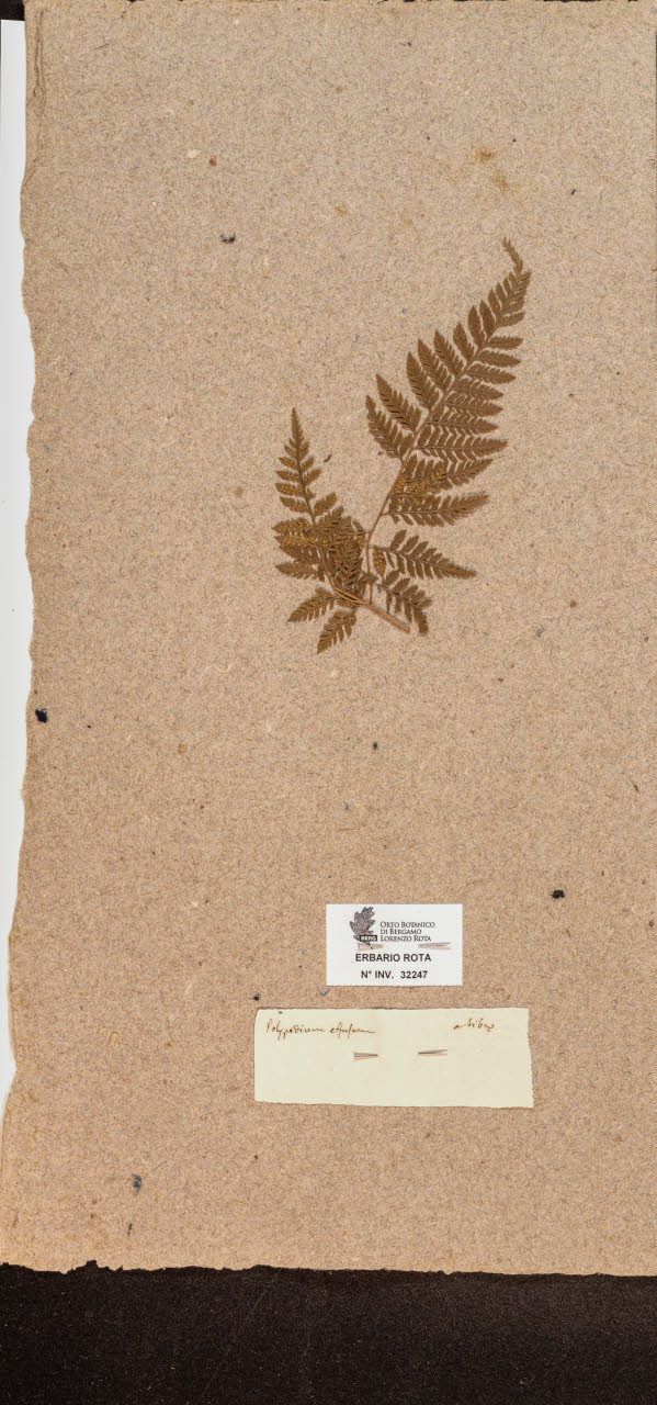 SW_BNB_s3090-10288_IMG-0000000001