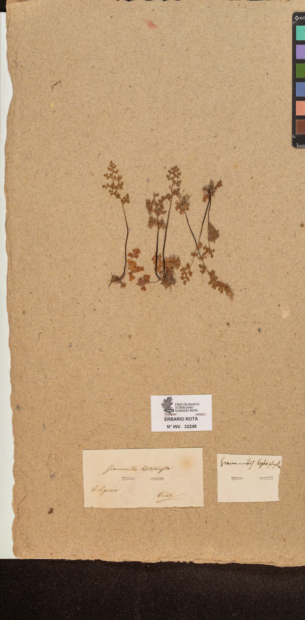 SW_BNB_s3090-10289_IMG-0000000001