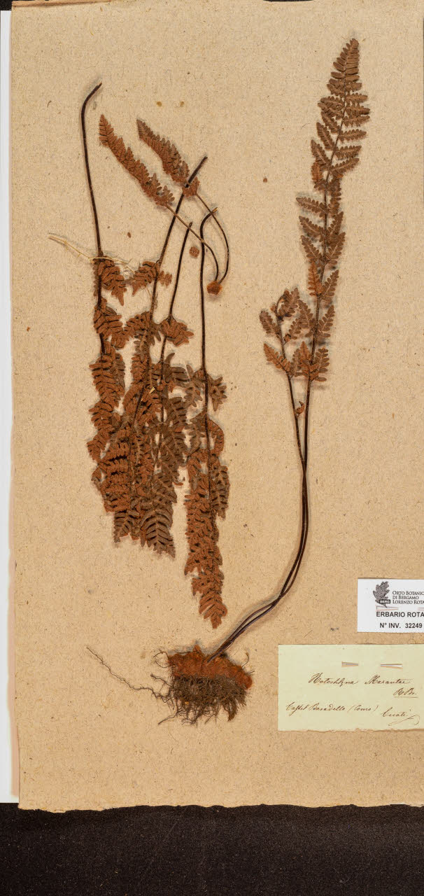 SW_BNB_s3090-10290_IMG-0000000001