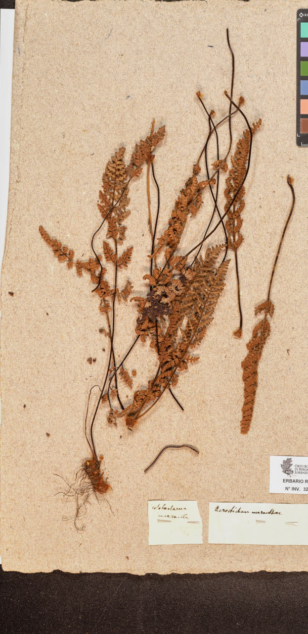 SW_BNB_s3090-10291_IMG-0000000001