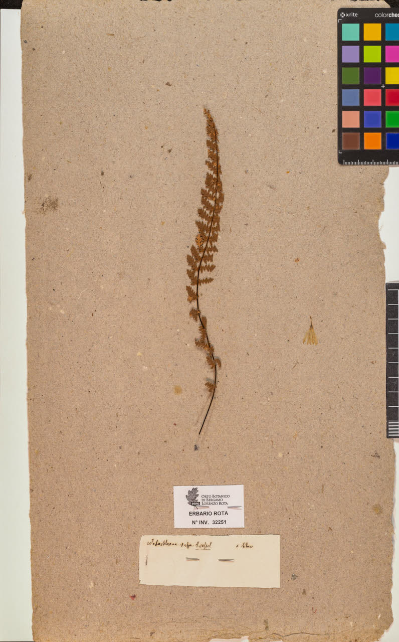 SW_BNB_s3090-10292_IMG-0000000001