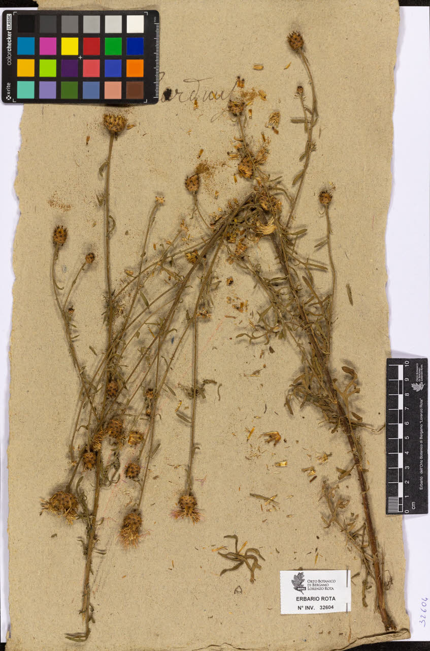 SW_BNB_s3090-10646_IMG-0000000001