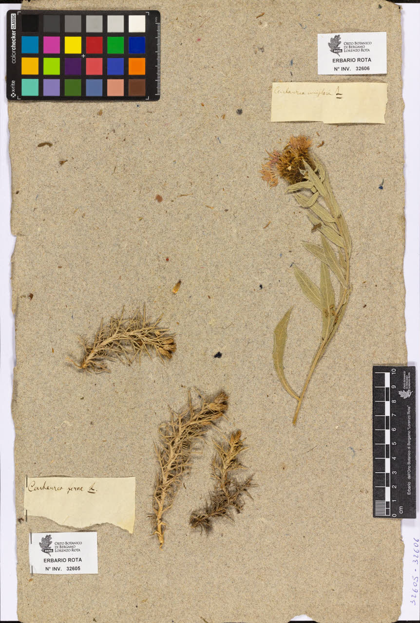 SW_BNB_s3090-10647_IMG-0000000001