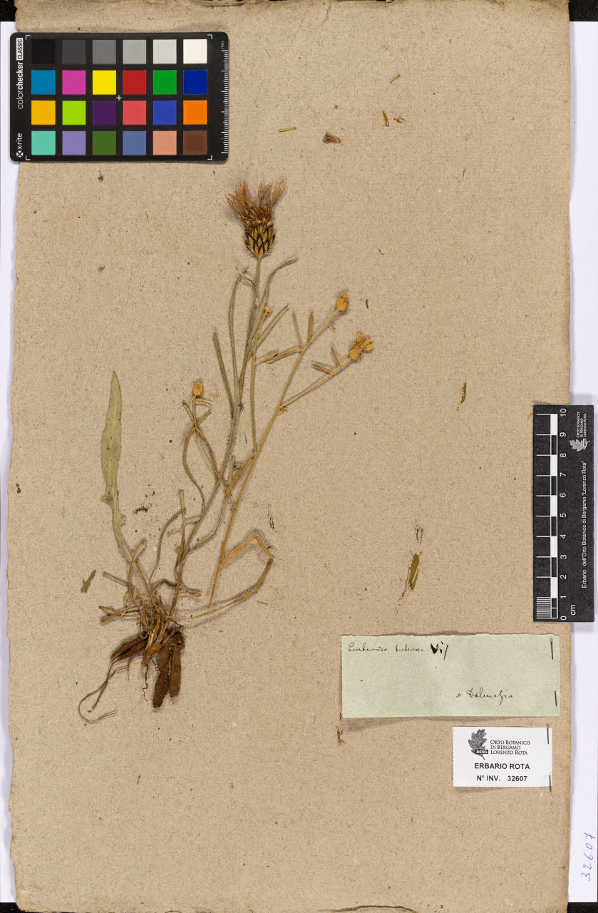 SW_BNB_s3090-10649_IMG-0000000001