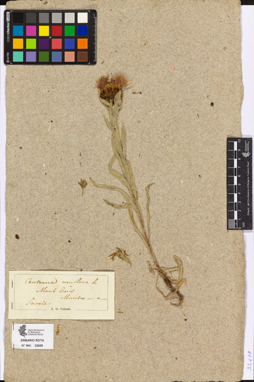 SW_BNB_s3090-10650_IMG-0000000001