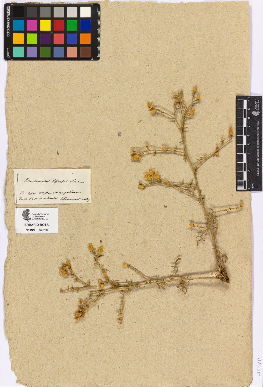 SW_BNB_s3090-10652_IMG-0000000001