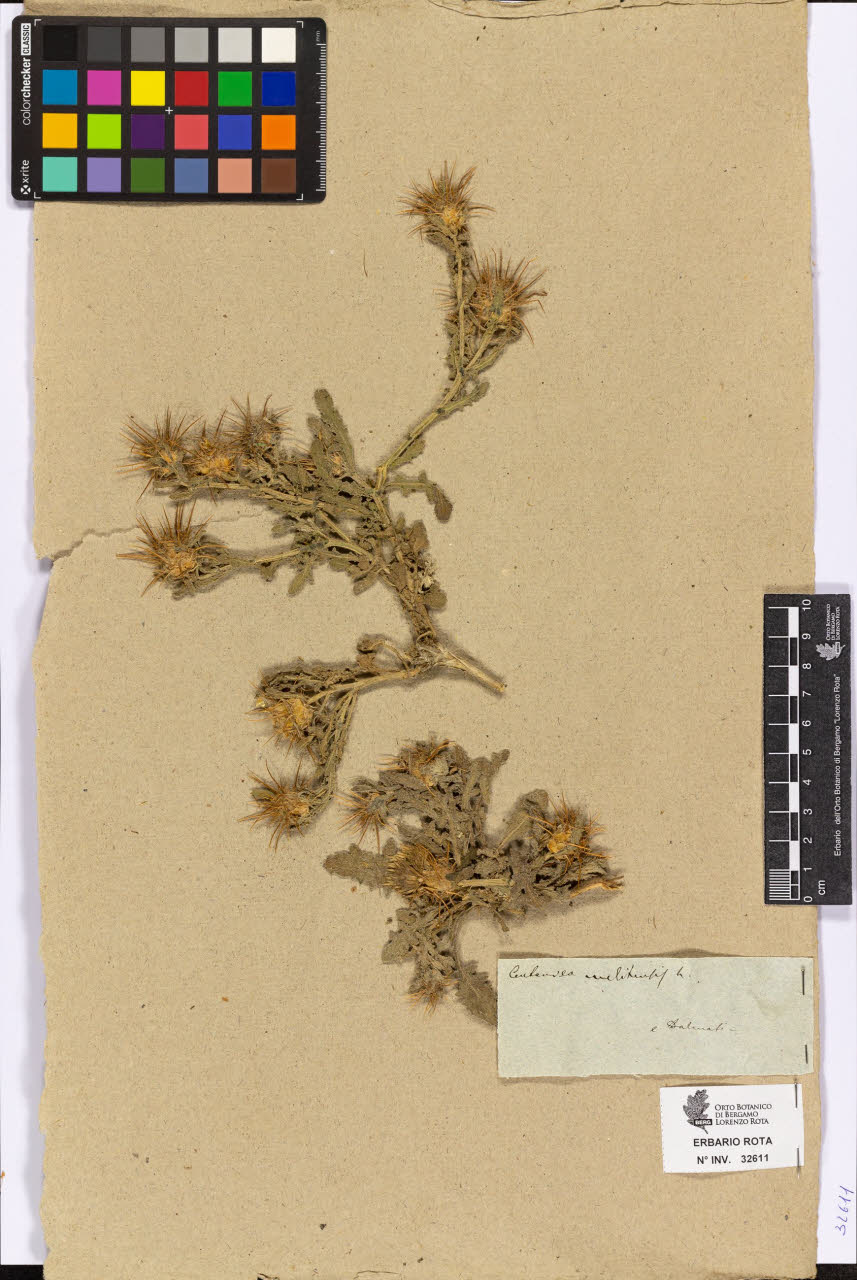 SW_BNB_s3090-10653_IMG-0000000001